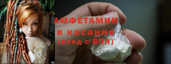 шишки Майский
