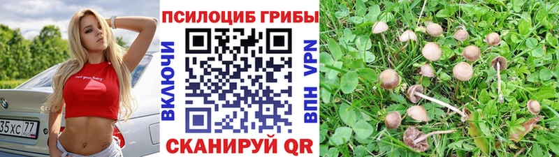 Псилоцибиновые грибы ЛСД  Чусовой 